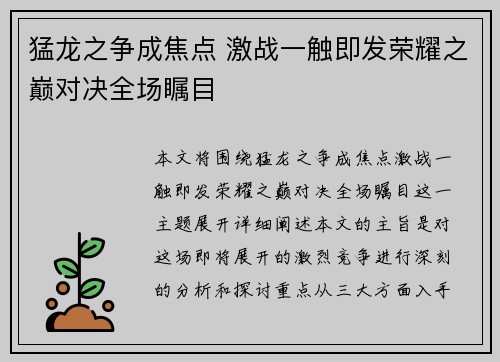 猛龙之争成焦点 激战一触即发荣耀之巅对决全场瞩目